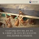 소소농장 정책브리핑