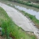 야은로-2 이미지