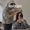 노크 | 경성대헤드스파 노크헤어 방문 후기 두피마사지, 아로마테라피