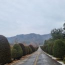 서라2차 이미지