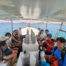 The Gili Asahan Dive and Coral Planting Trip 이미지