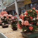 충주자유시장 이미지