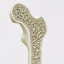 (주)뉴트롬 이미지