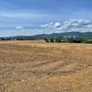 양평읍 양근대교~양평대교 이미지