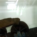 오토오아시스파주월롱점 이미지