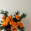 이지로움 이미지