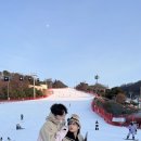 비발디파크