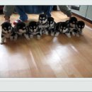 01-37 동구 이미지