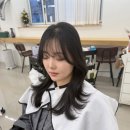 살롱드 지유 이미지