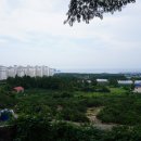 사우쓰캘리 이미지