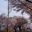 아띠펜션 이미지