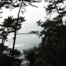 태종대민박 이미지