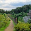 허산등산로1 이미지