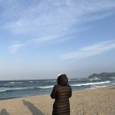 삼척펜션추천 (오션뷰, 바로 앞 궁촌해수욕장!!) 마카펜션