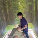 힐링안마 이미지