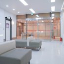 24시 라움동물의료센터 네이버블로그
