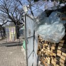 경마공원역 1번출구 | 🎆 과천 경마공원역, 노포 야장 감성 ‘송이포차’ (렛츠런파크 뒤풀이 추천)