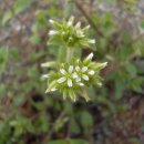 연서초등학교 이미지