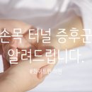 화이트퀸의원
