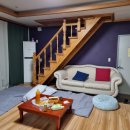 로얄애견 이미지