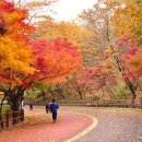 문화공원 북측 이미지