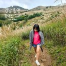 우산제9어린이공원(별빛) | [경남 합천] 황매산 군립공원 억새 축제 기간 주차장 요금 정보 군락지 개화상황