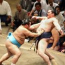 루차리브레 이미지