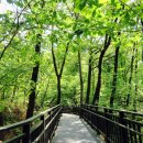 수락산 순환산책로 이미지