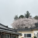 도예(손작업과 물레성형) | [경주] 도자기 물레체험 후기 경주원데이클래스‘세인도예연구소’