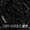 홍노래주점