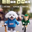롯데 생활건강 이미지