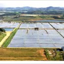 장등목장 이미지