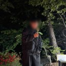 비채야영장 이미지