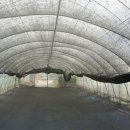 정한농원 이미지