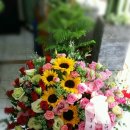 모아꽃방 이미지