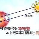 바라본안경 이미지