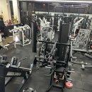 노익스짐 | 원주헬스장 노익스짐