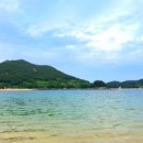 은빛아라 이미지