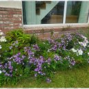 용문가든 이미지