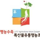 화랑체능스쿨 이미지