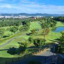 옥마벚길 이미지