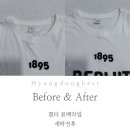 향동베스트세탁 이미지