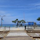 정동진역 이미지