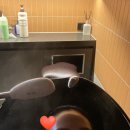 by.혜선미용실 | 준오헤어 마곡역점 클리닉 후기