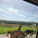 (주)리빙홀릭 | 아프리카여행12-2. 탄자니아 잔지바르- 마템웨 더 모라 리조트