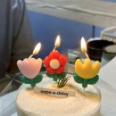 태평양참치 이미지