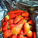 수야농장 이미지