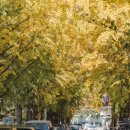 용답꽃공원 이미지