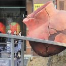 선사시대로 테마거리 이미지