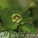 원산목장 이미지